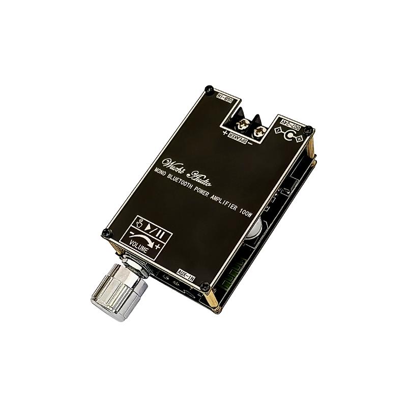 Bluetooth 5.1 TPA3116 D2 Mono  - Home Cinema Equipment recensie en prijs